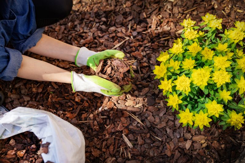 Weeding And Mulching